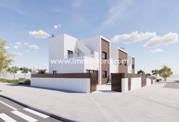 New Build - Detached house / Townhouse - Pilar de la Horadada