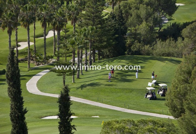 New Build - Apartment - Orihuela - Orihuela Costa