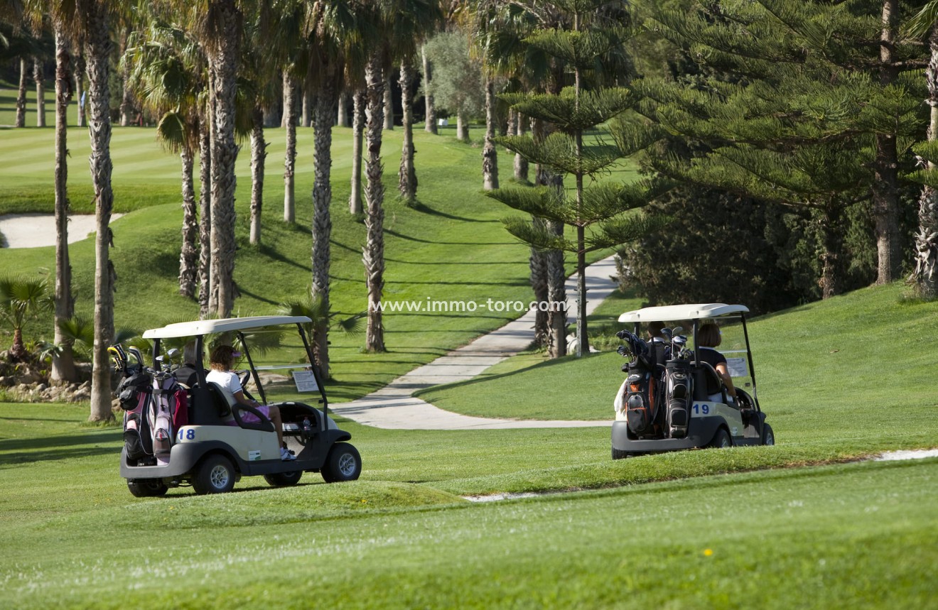 New Build - Apartment - Orihuela - Orihuela Costa