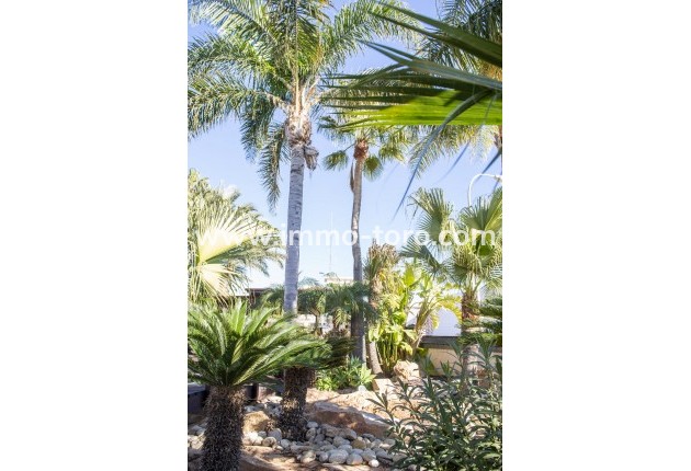 Nueva construcción  - Villa / Chalet - San Pedro del Pinatar