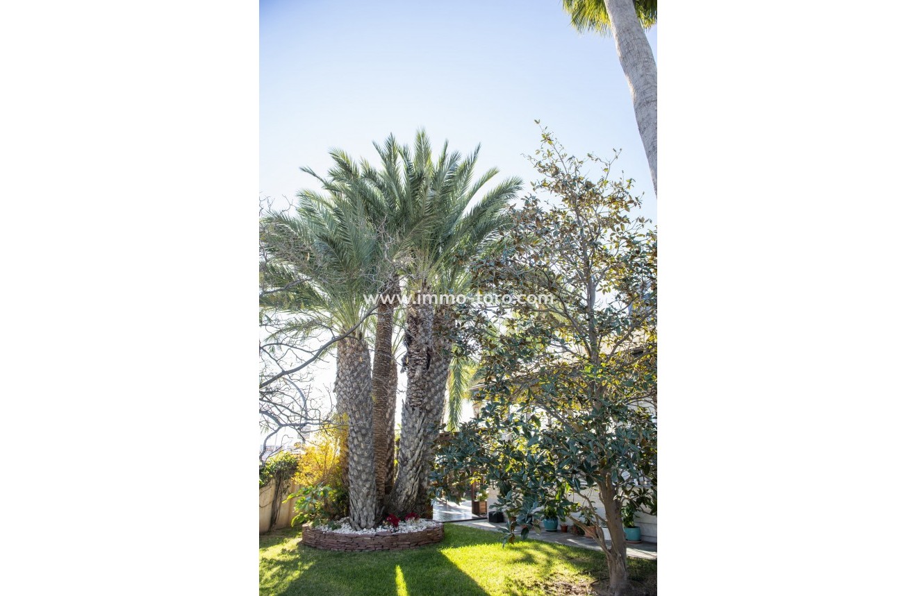 Nueva construcción  - Villa / Chalet - San Pedro del Pinatar