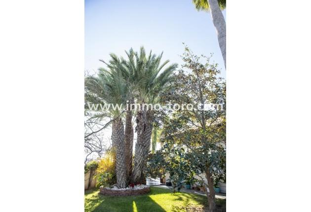 Nueva construcción  - Villa / Chalet - San Pedro del Pinatar