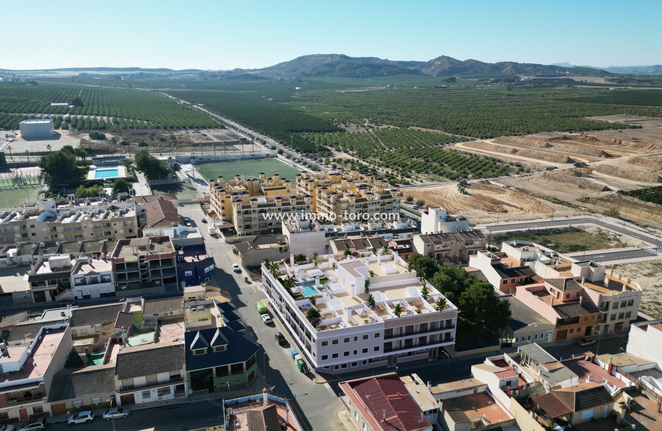 Nouvelle construction - Appartement - Algorfa