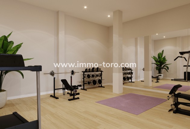 Nouvelle construction - Penthouse - Algorfa