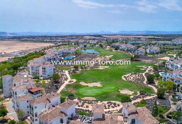 New Build - Detached house / Townhouse - Sucina