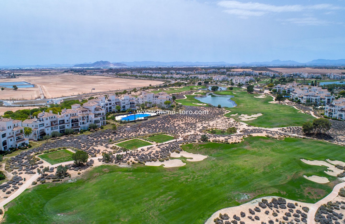 New Build - Detached house / Townhouse - Sucina