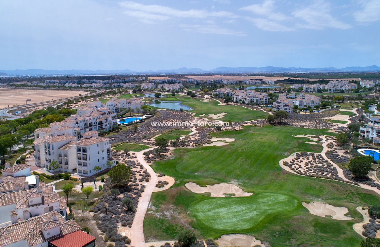 New Build - Detached house / Townhouse - Sucina