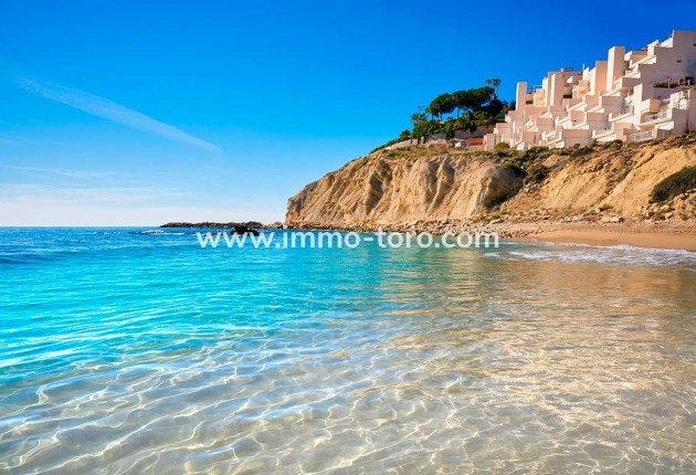 Nieuwbouw - Villa - Algorfa