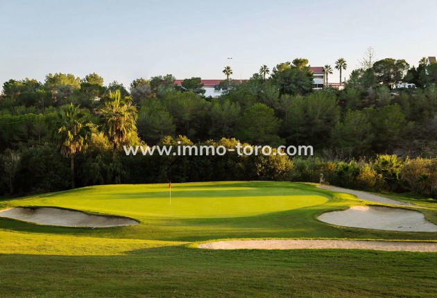 Nieuwbouw - Appartement  - Algorfa