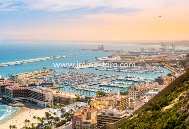 Nueva construcción  - Villa / Chalet - Mutxamel