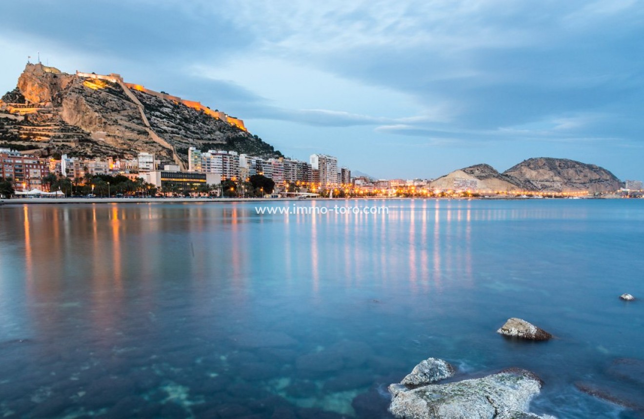 Nueva construcción  - Villa / Chalet - Mutxamel