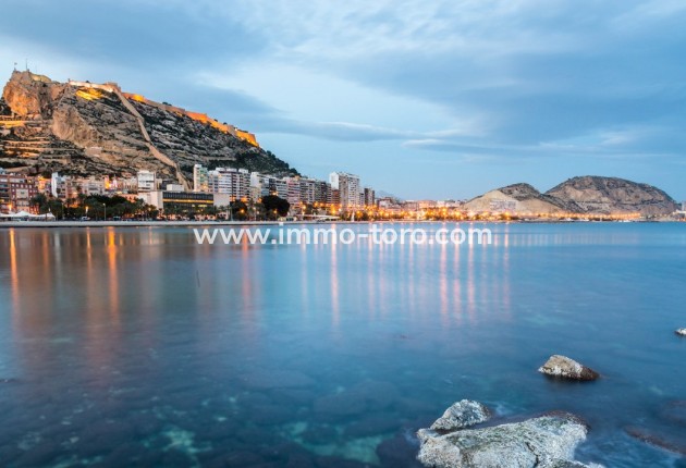 Nueva construcción  - Villa / Chalet - Mutxamel