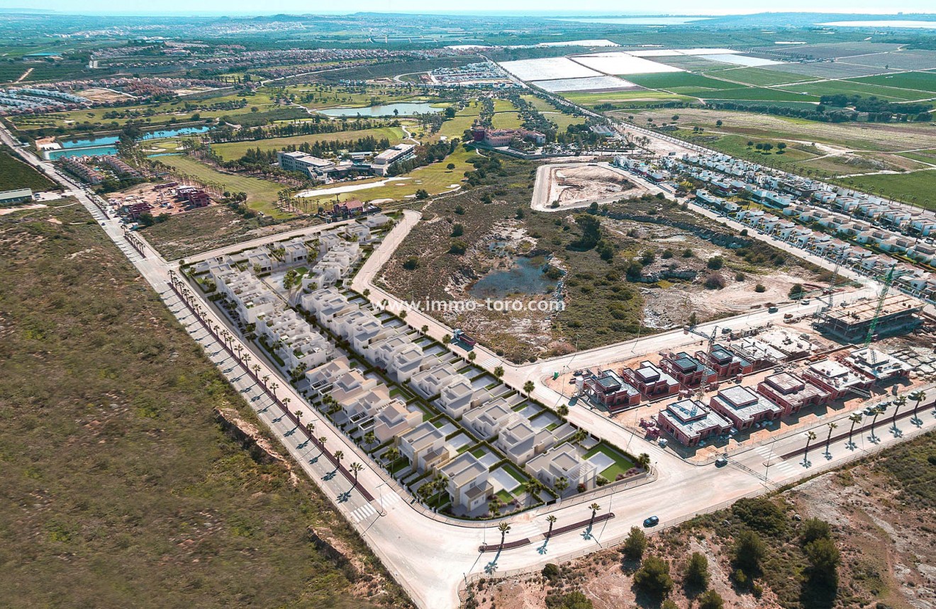 New Build - Detached house / Townhouse - Algorfa