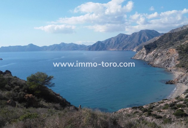 Nouvelle construction - Villa - Torre Pacheco - Torre-Pacheco