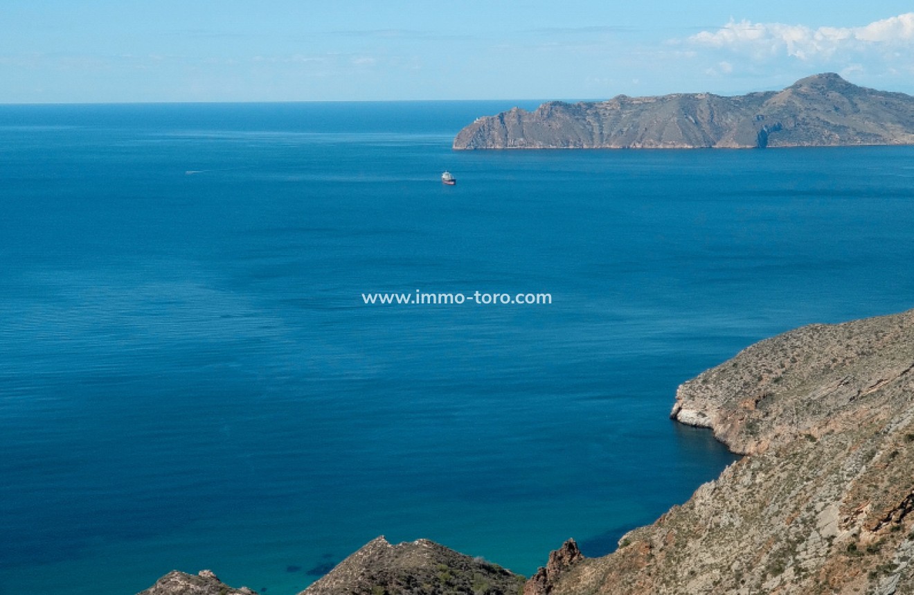 Nouvelle construction - Villa - Torre Pacheco - Torre-Pacheco