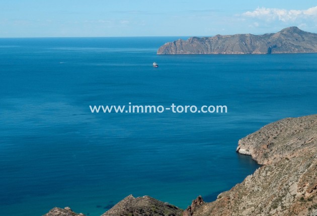 Nouvelle construction - Villa - Torre Pacheco - Torre-Pacheco