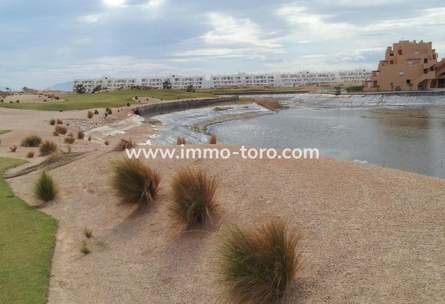 Nouvelle construction - Villa - Torre Pacheco - Torre-Pacheco