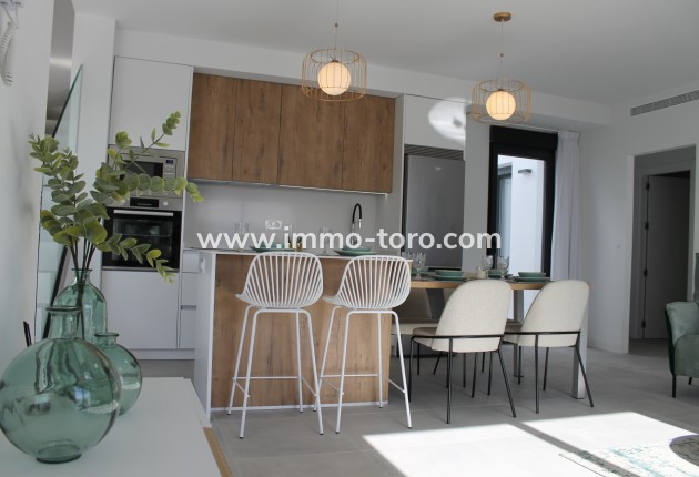 Nouvelle construction - Villa - Torre Pacheco - Torre-Pacheco