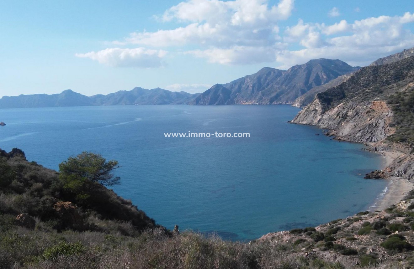 New Build - Villa - Torre Pacheco - Torre-Pacheco