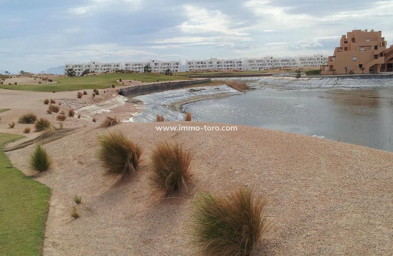 New Build - Villa - Torre Pacheco - Torre-Pacheco