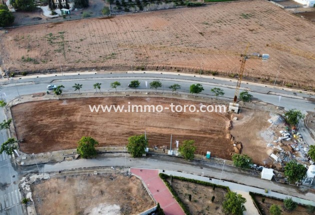 New Build - Apartment - Pilar de la Horadada