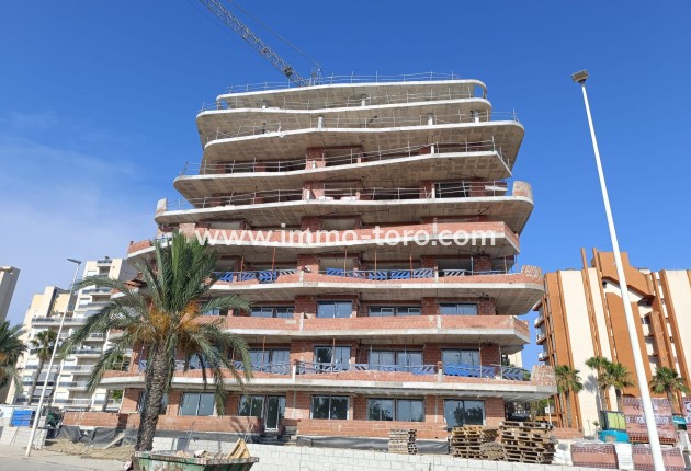 New Build -  - Guardamar - Guardamar del Segura