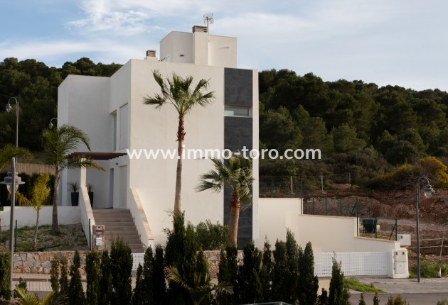 Nouvelle construction - Villa - Cartagena