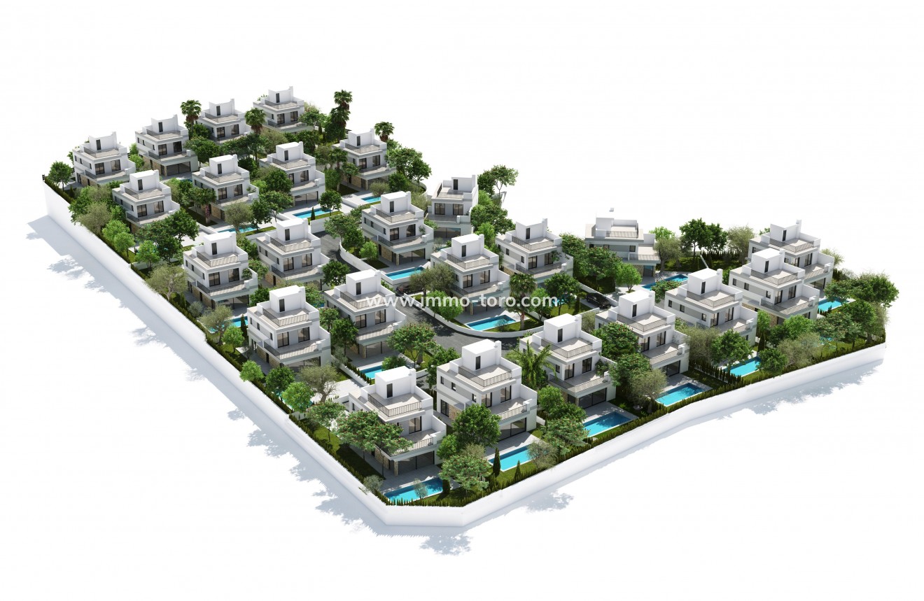 Nouvelle construction - Villa - San Miguel de Salinas