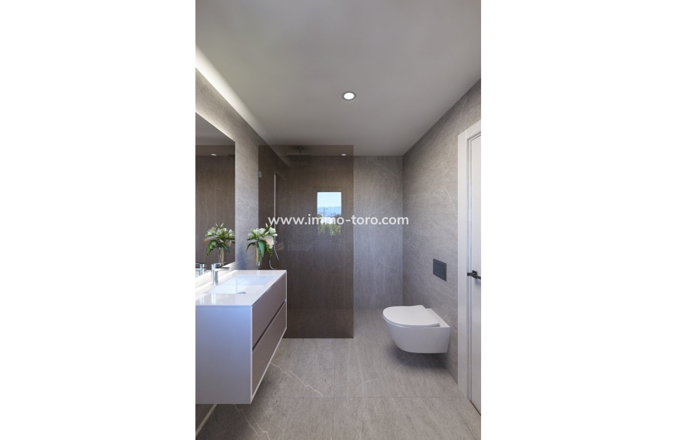 Nouvelle construction - Villa - San Miguel de Salinas