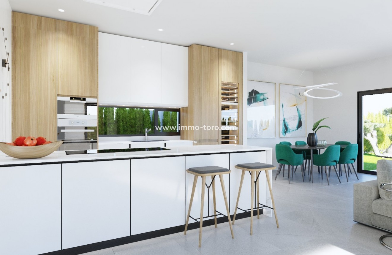 Nouvelle construction - Villa - San Miguel de Salinas