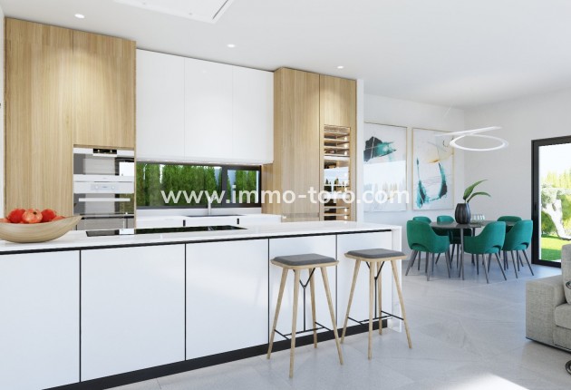 Nouvelle construction - Villa - San Miguel de Salinas