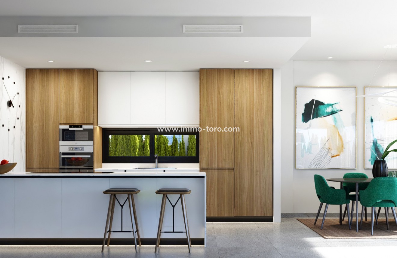 Nouvelle construction - Villa - San Miguel de Salinas