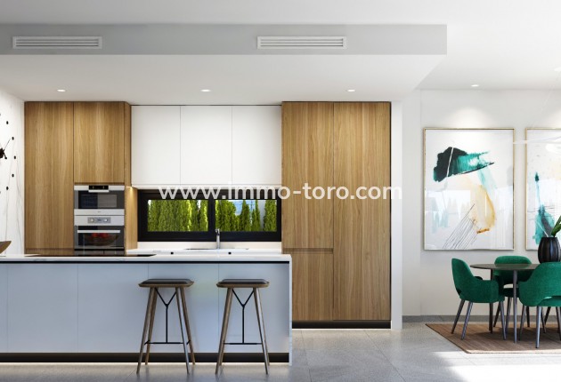 Nouvelle construction - Villa - San Miguel de Salinas