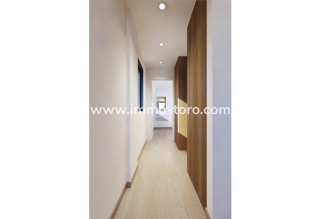 Nouvelle construction - Villa - San Miguel de Salinas