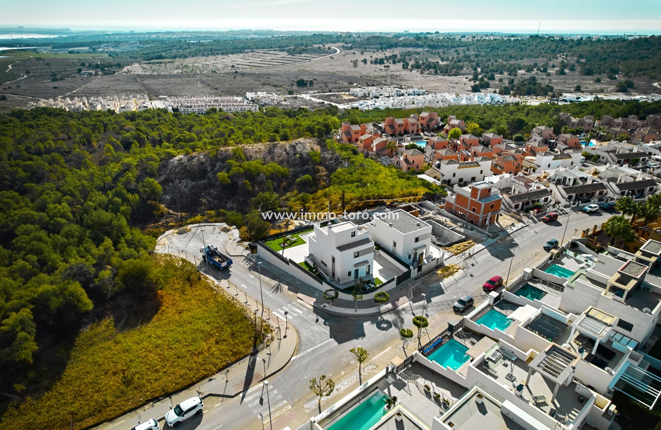 Nouvelle construction - Villa - San Miguel de Salinas