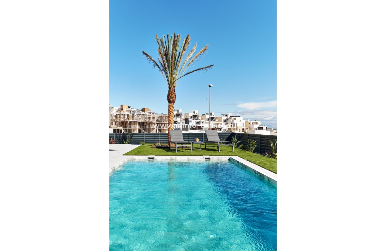 Nouvelle construction - Villa - San Miguel de Salinas