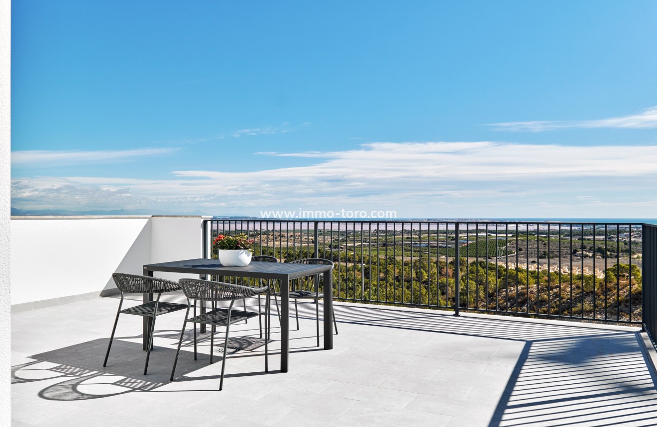 Nouvelle construction - Villa - San Miguel de Salinas