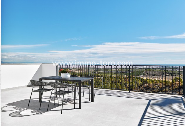 Nouvelle construction - Villa - San Miguel de Salinas