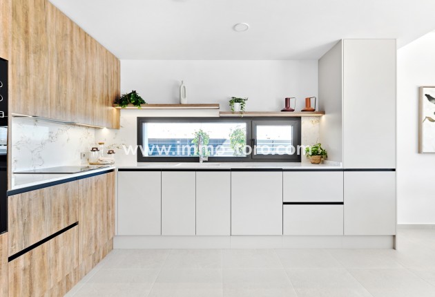 Nouvelle construction - Villa - San Miguel de Salinas