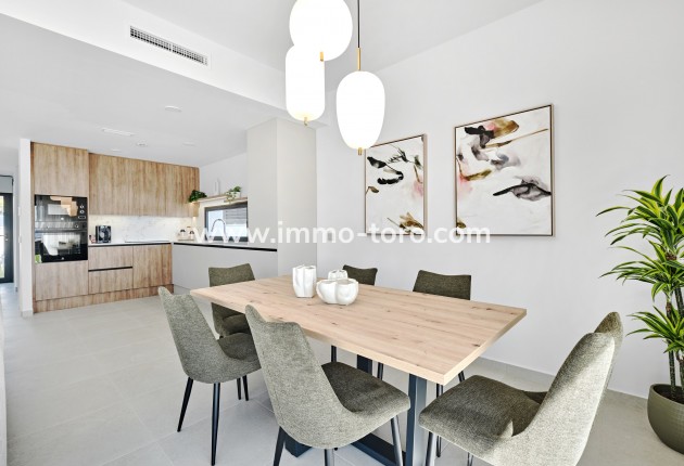 Nouvelle construction - Villa - San Miguel de Salinas