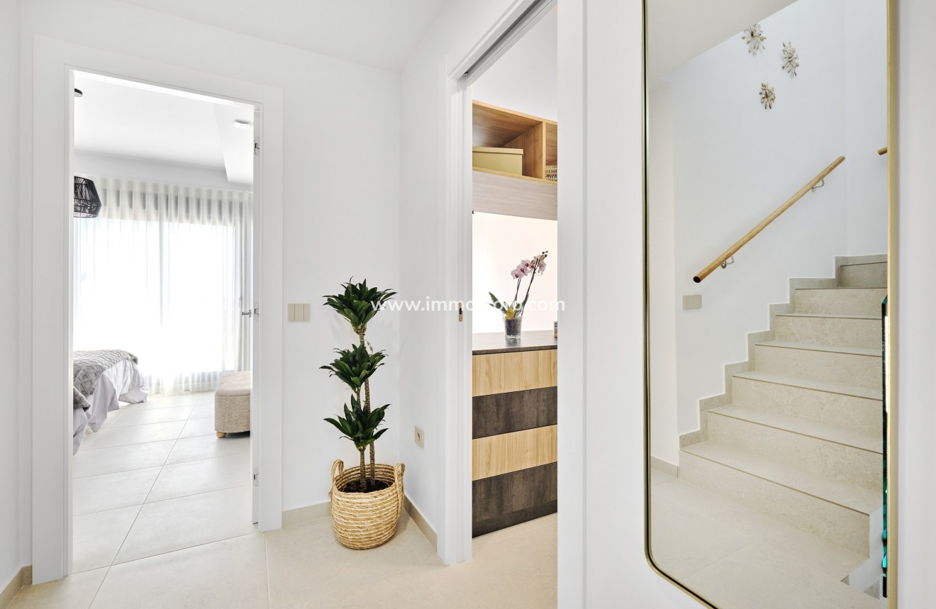 Nouvelle construction - Villa - San Miguel de Salinas