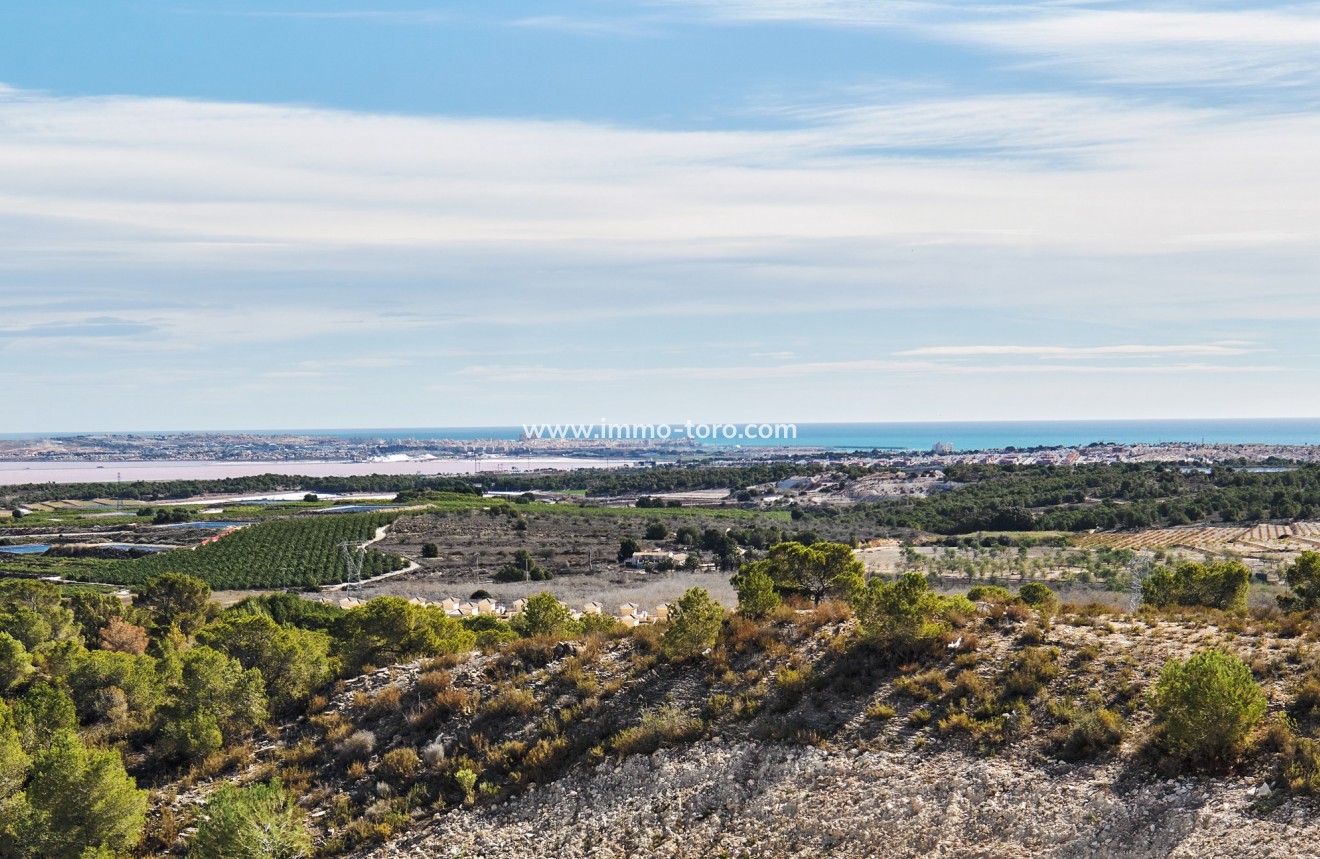 New Build - Villa - San Miguel de Salinas