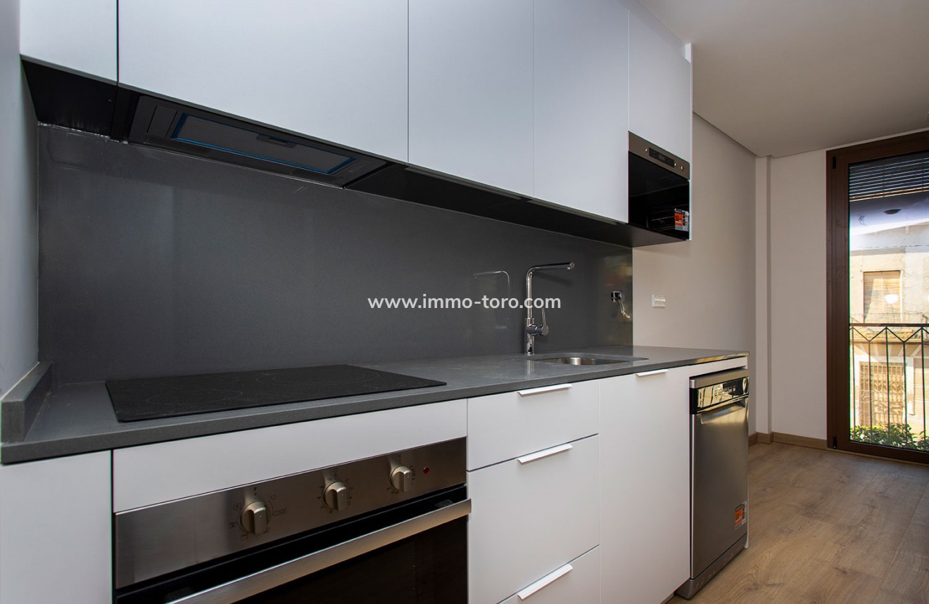 Nouvelle construction - Penthouse - Hondon de las Nieves