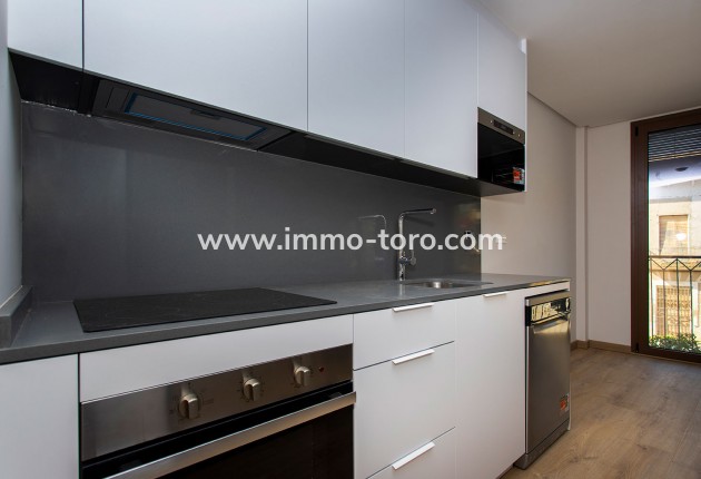 Nouvelle construction - Penthouse - Hondon de las Nieves