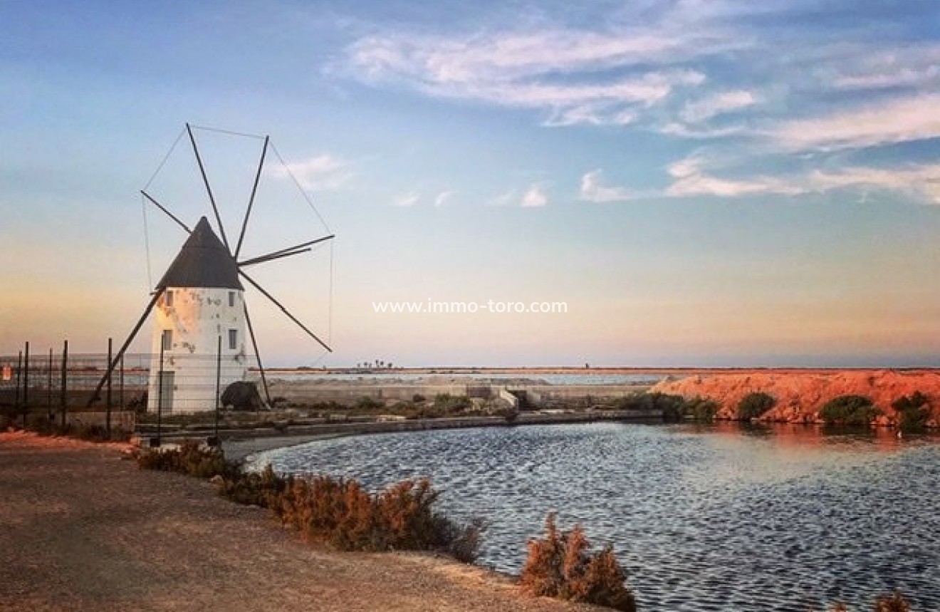 Nouvelle construction - Villa - San Pedro del Pinatar