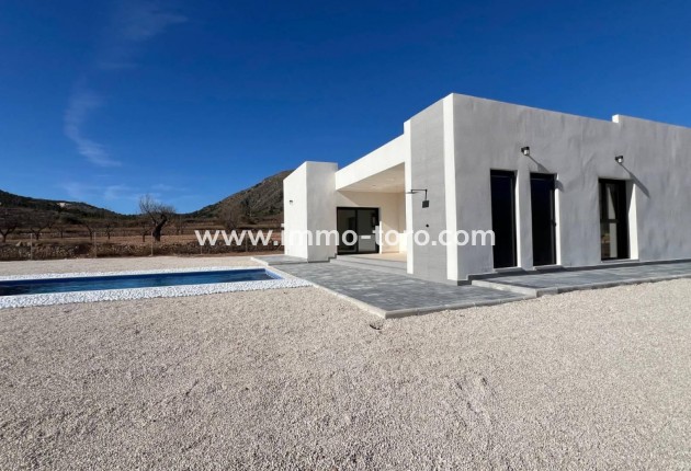 Nueva construcción  - Villa / Chalet - La Canalosa