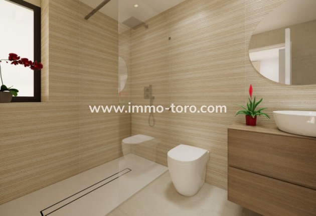 New Build - Detached house / Townhouse - San Fulgencio