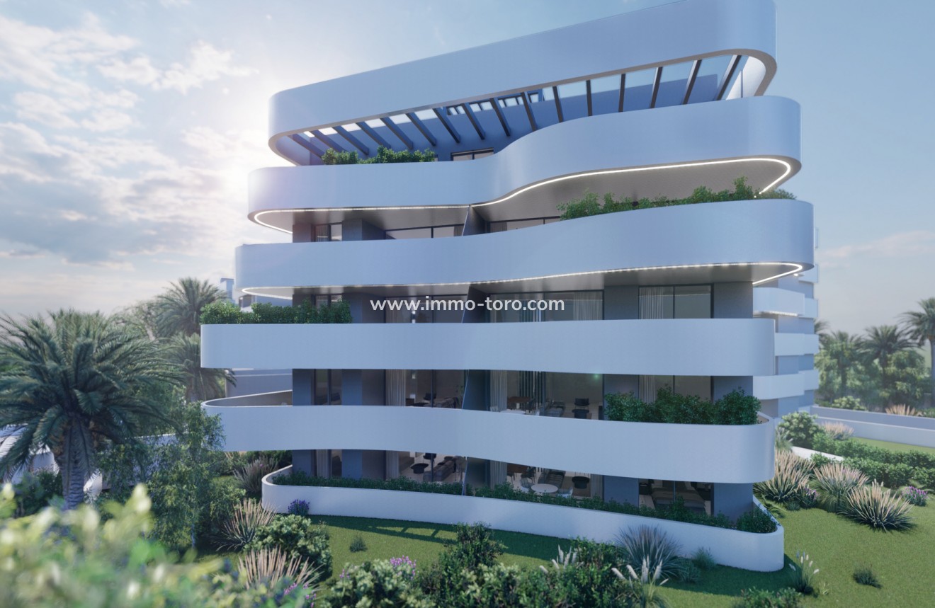 Nueva construcción  -  - Guardamar - Guardamar del Segura