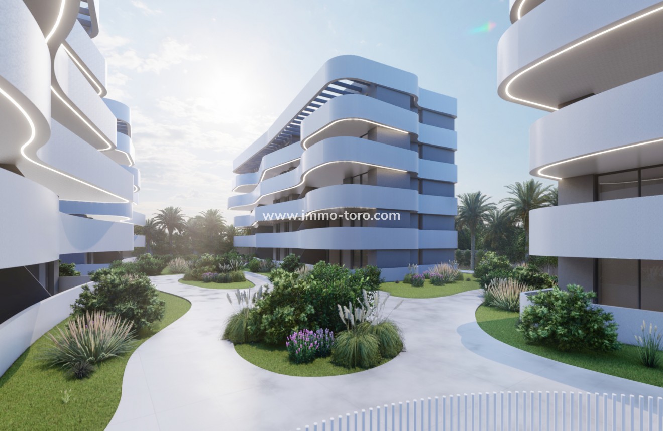 Nueva construcción  -  - Guardamar - Guardamar del Segura