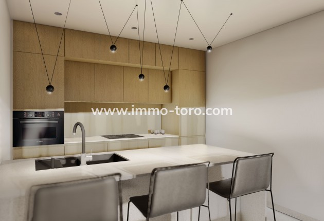 Nueva construcción  -  - Guardamar - Guardamar del Segura